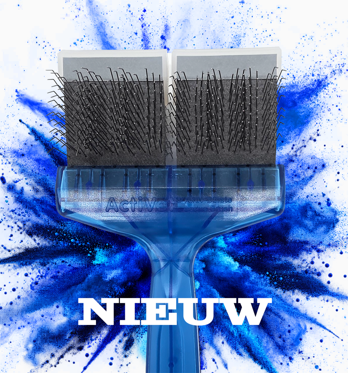 Blaue Bürste-NL